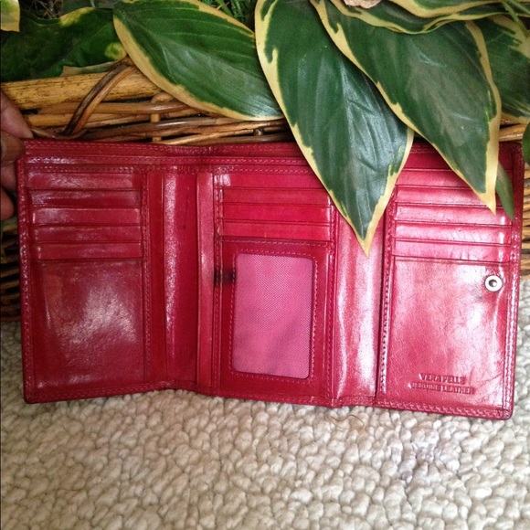 Vera Pelle - Picture 4 of 8